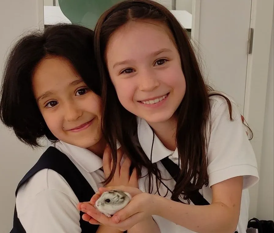 Prime School — photo 7