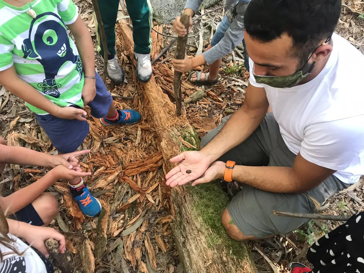 Trisquel Compostela International School — photo 2