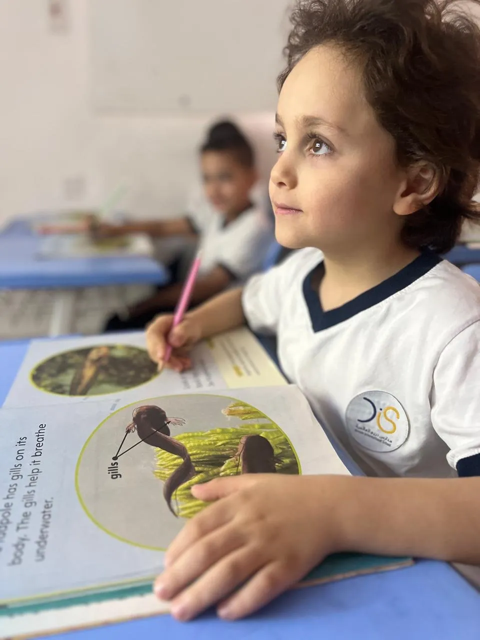 Dream International School — photo 8