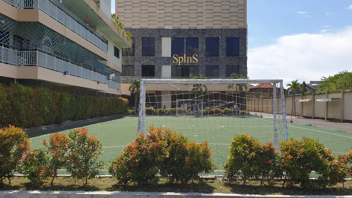 Spins Interactional School