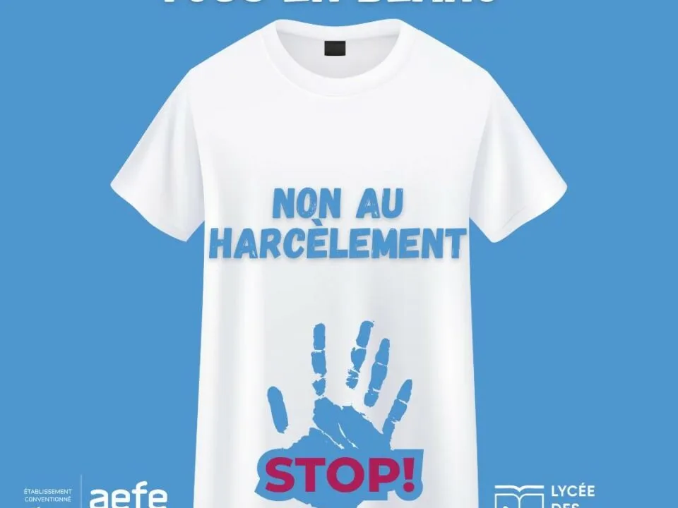 Lycée des Mascareignes — photo 7