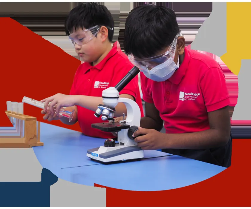 New Bridge International School — photo 4