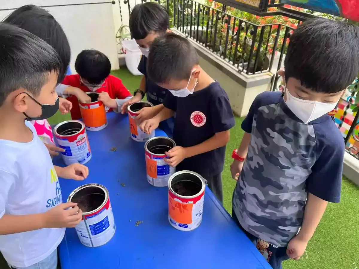 DK Schoolhouse — photo 6