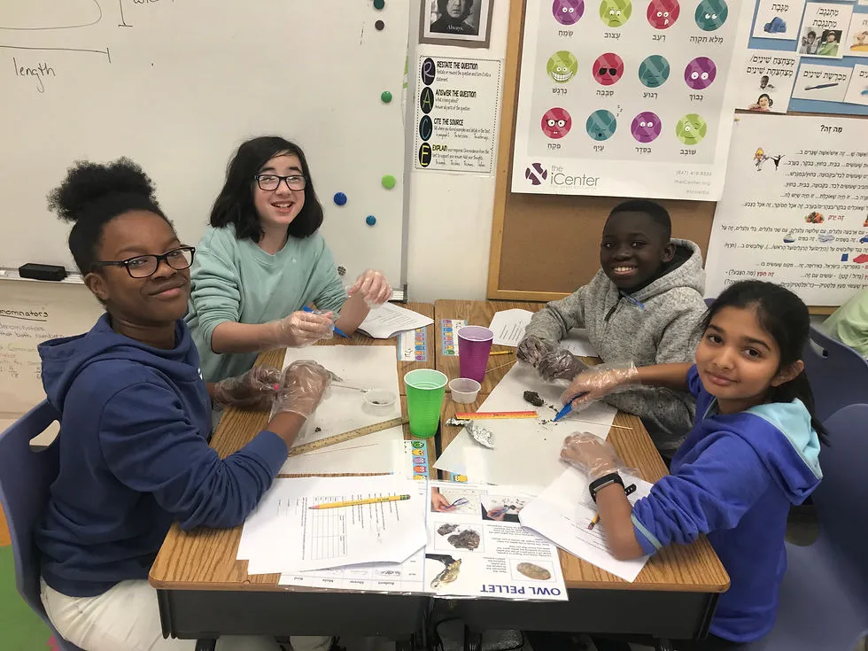 Hatikvah International Academy Charter School