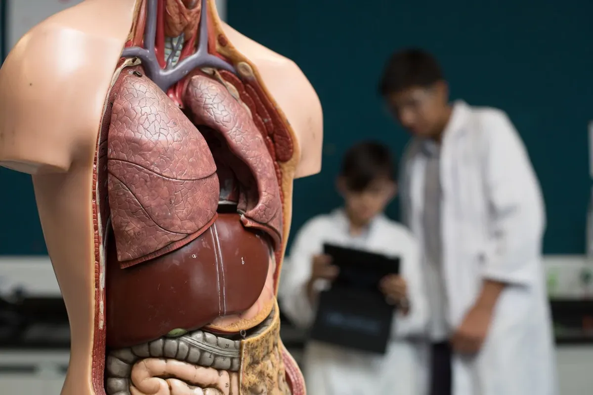 Discovery Bay International School — photo 2