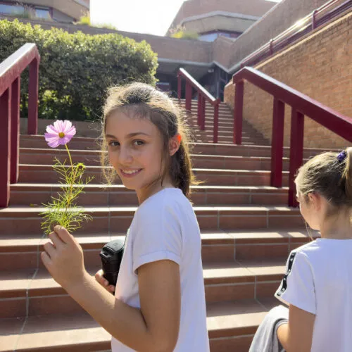 German School Rome — photo 2