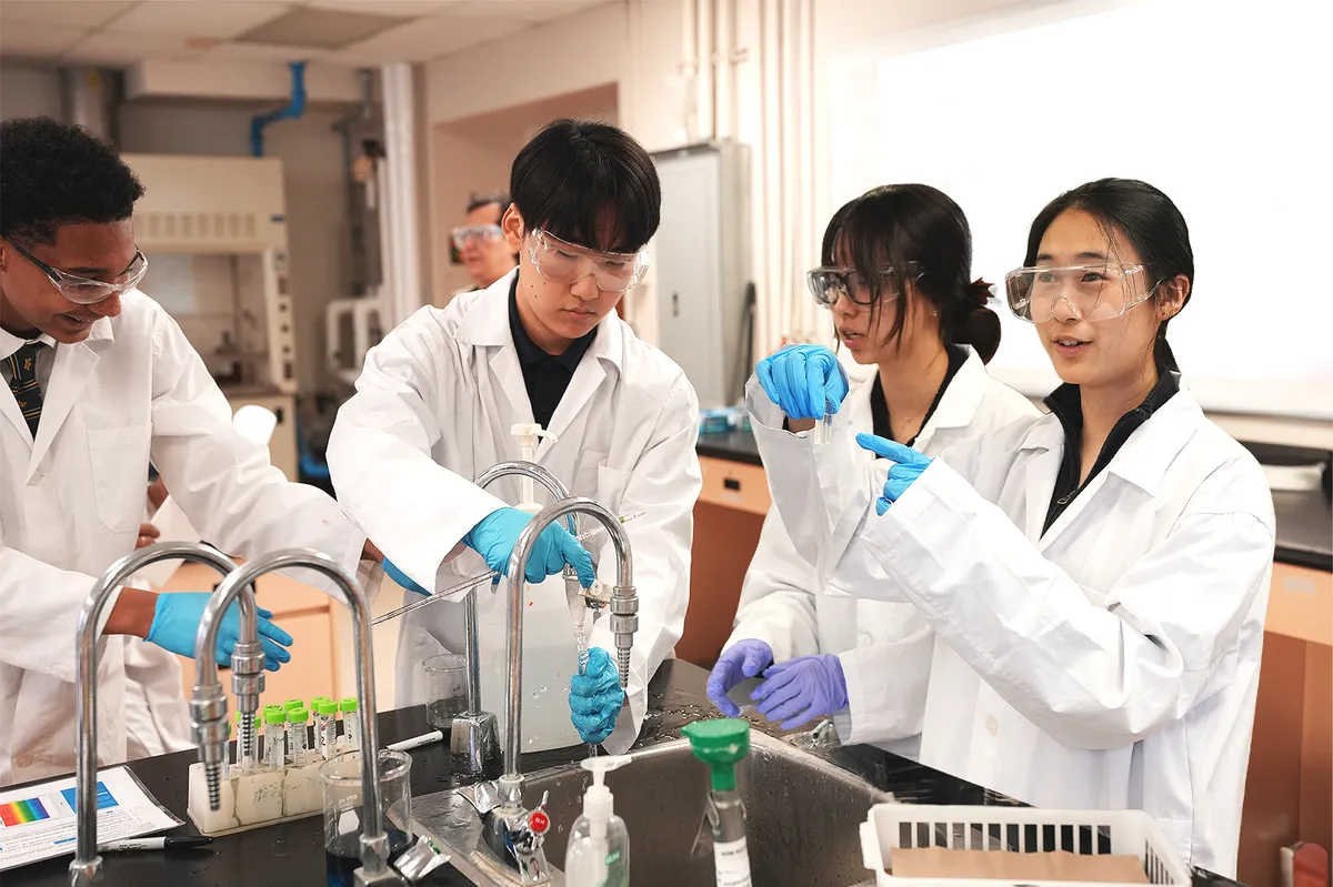 Royal Crown School — photo 3