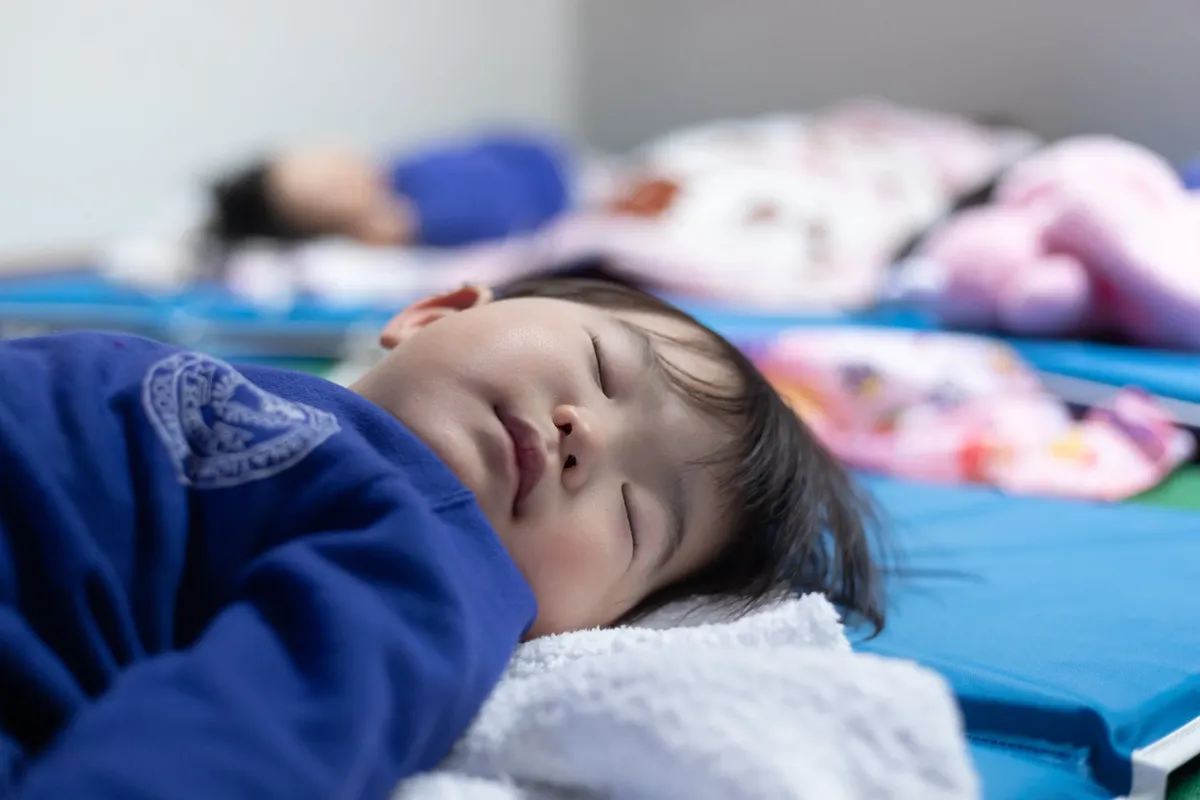 Laurus International School of Science — photo 2