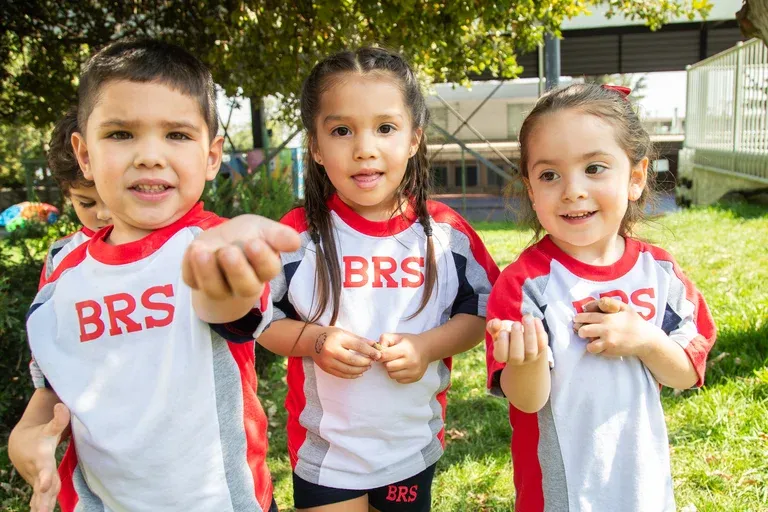 British Royal School — photo 6