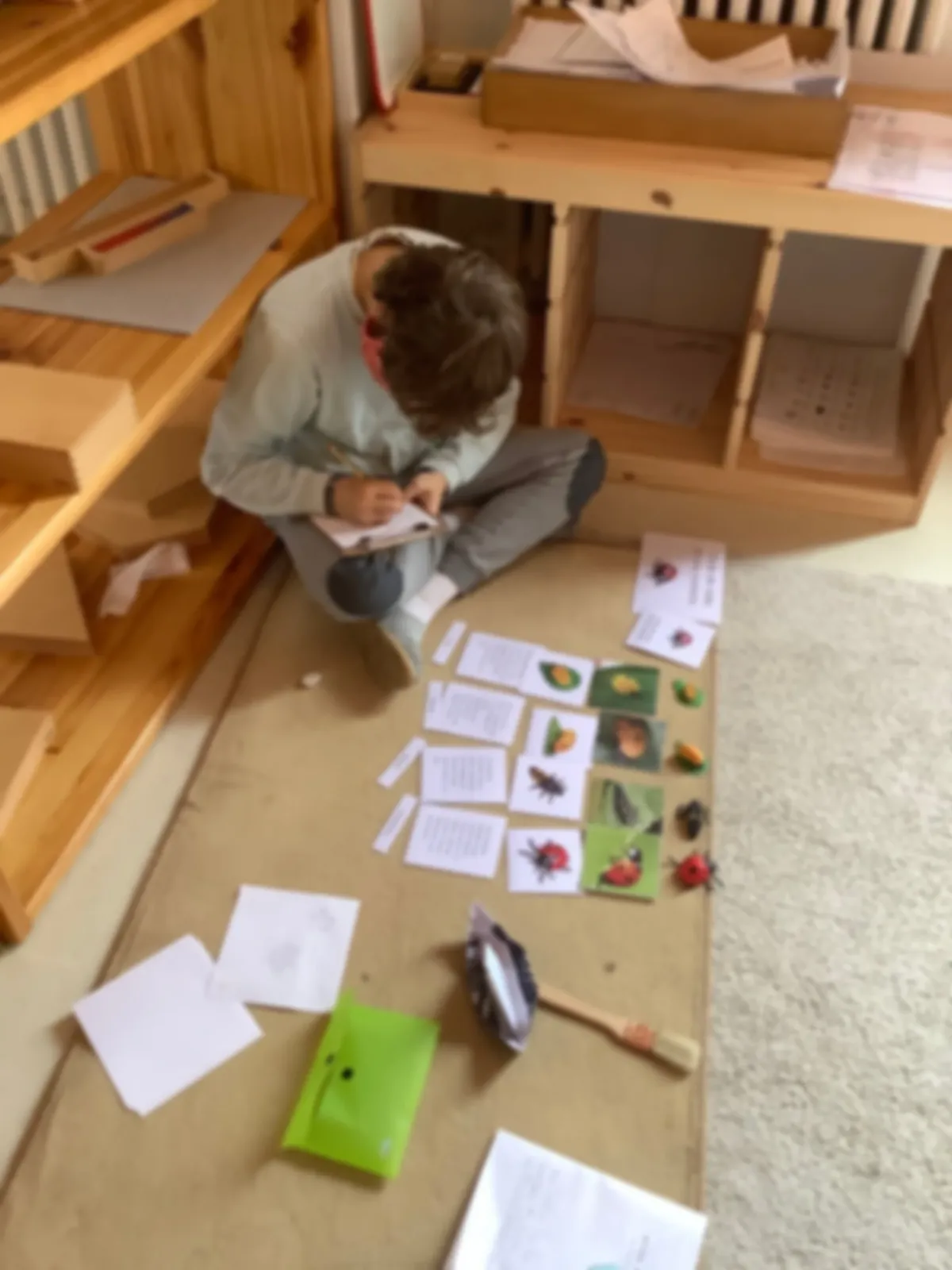 Barcelona Montessori School — photo 5