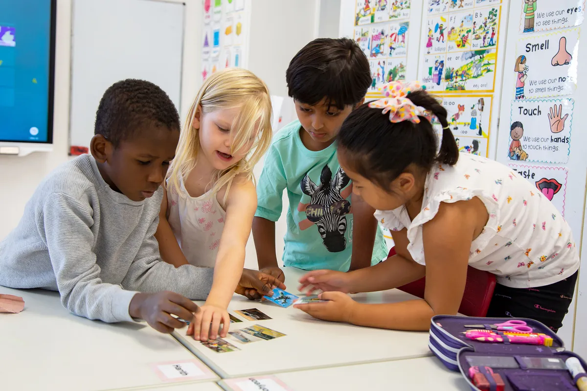 SIS Swiss International School Frankfurt — photo 4