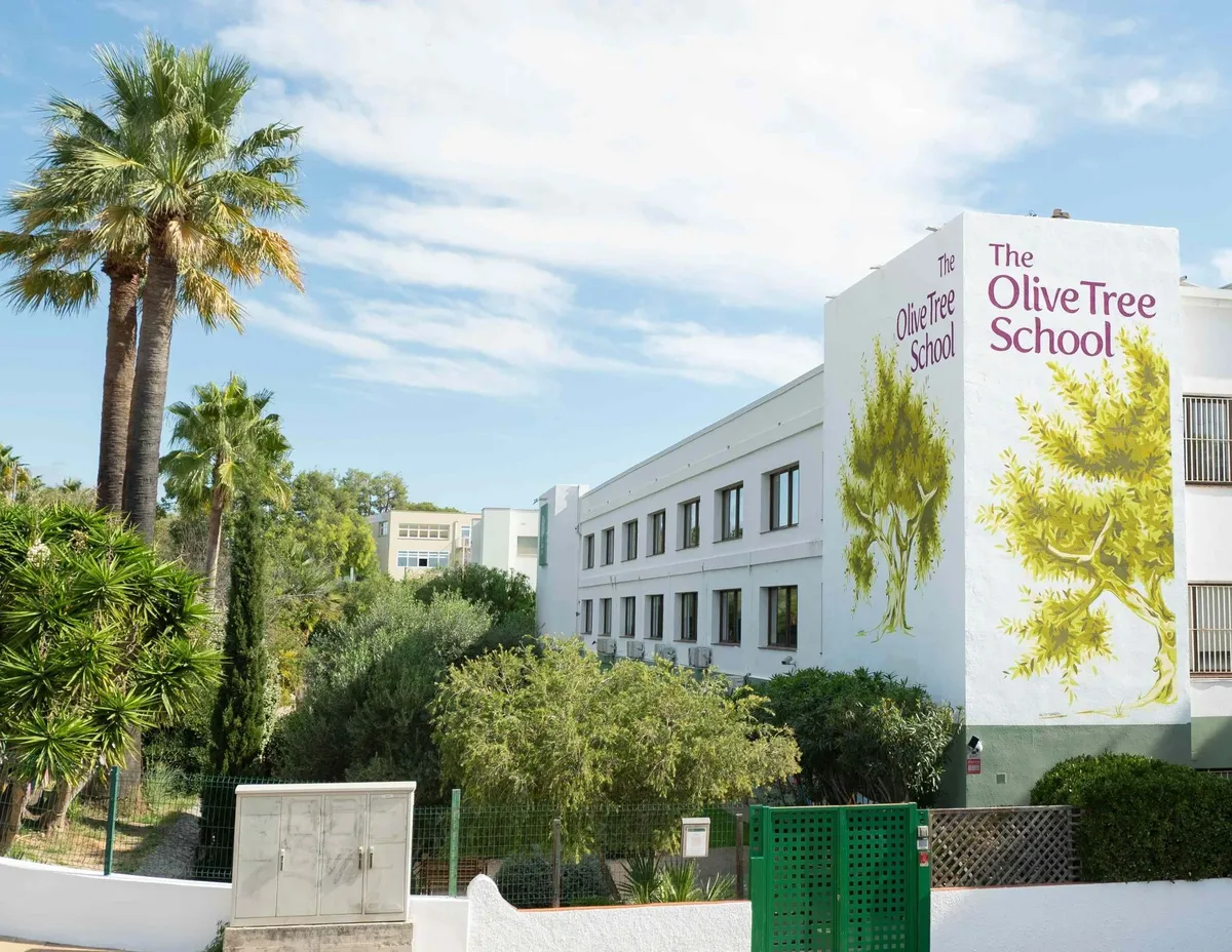 The Olive Tree School