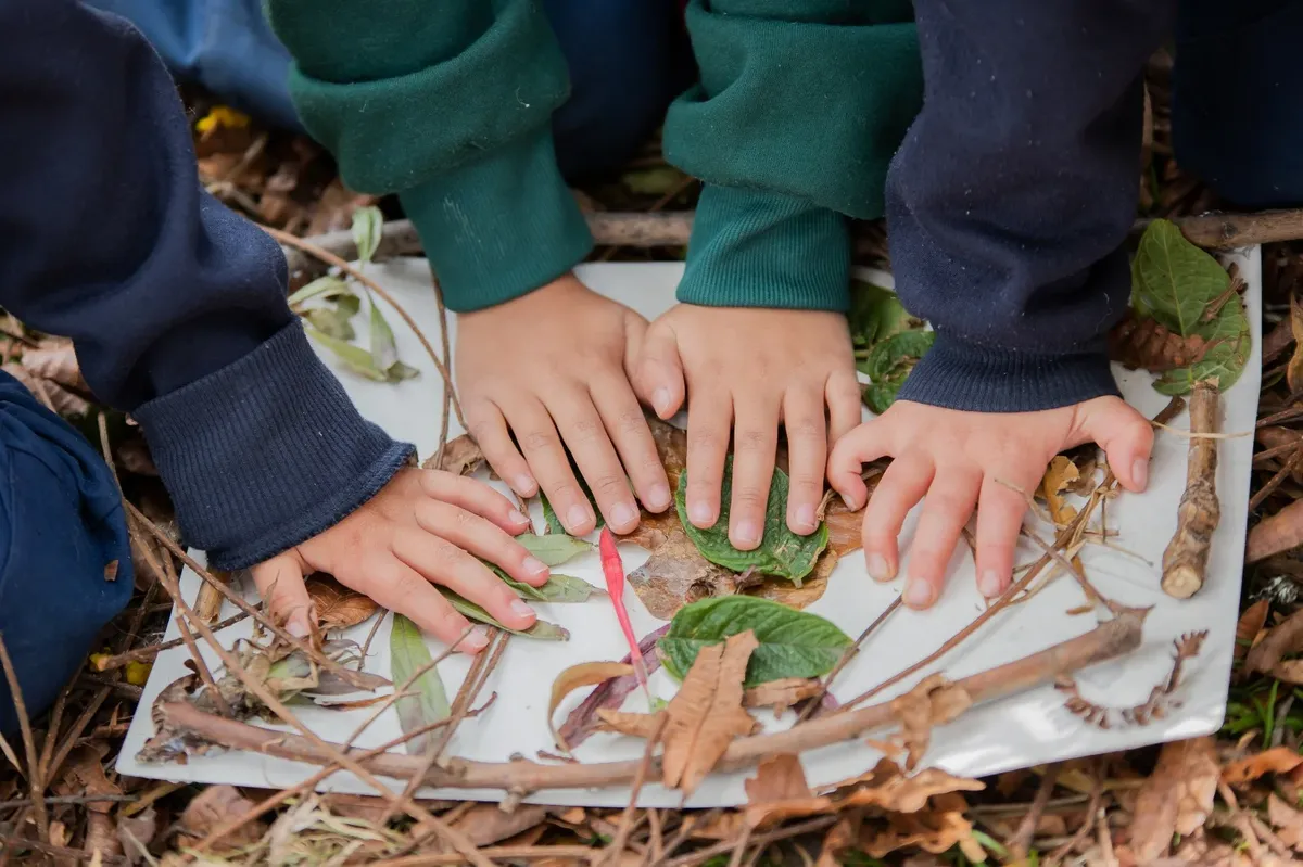 Colegio La Colina — photo 3