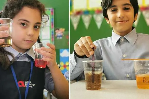 Alpha Cambridge School — photo 6