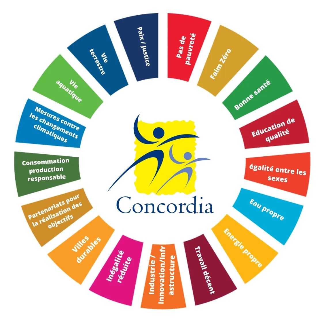 Concordia Lycée International Français en Egypte — photo 2