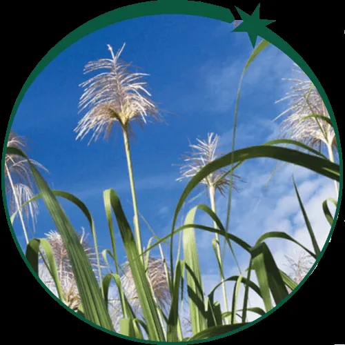 Judy Montessori Primary School — photo 3