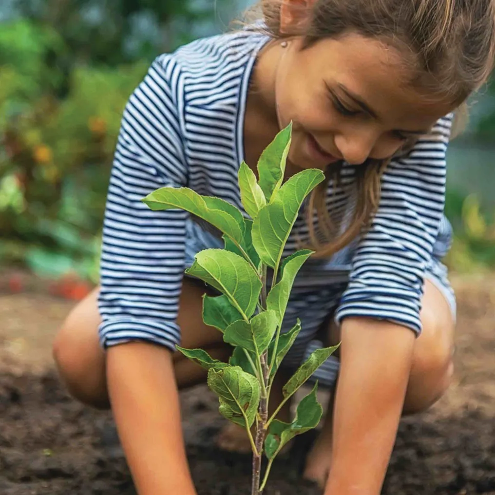 Bamboo Valley Phuket — photo 7