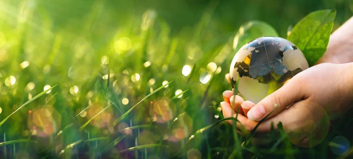 Lycée Français Vincent Van Gogh — photo 2