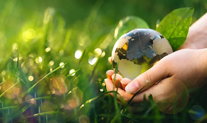 Lycée Français Vincent Van Gogh — photo 7