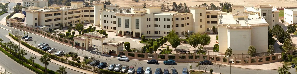 The International School of Choueifat - City of 6 October — photo 1