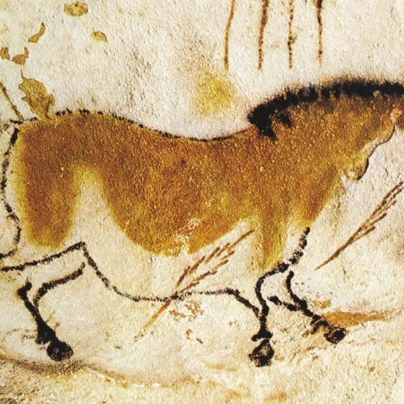 École Française Internationale Marbella — photo 3