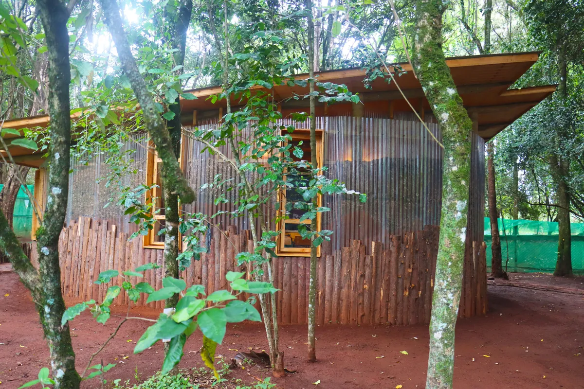 Nairobi Waldorf School — photo 1