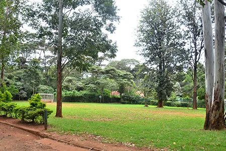 Nairobi Waldorf School — photo 3