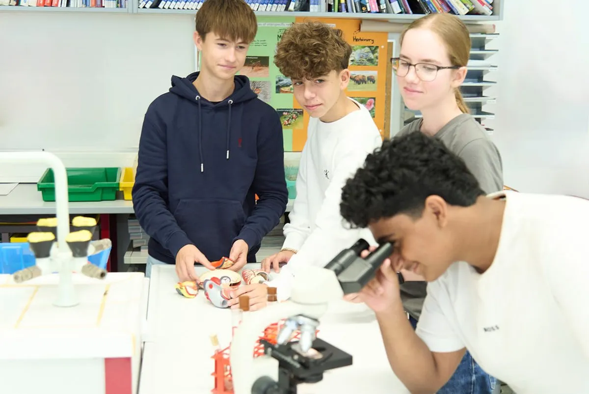 Danube International School Vienna — photo 6