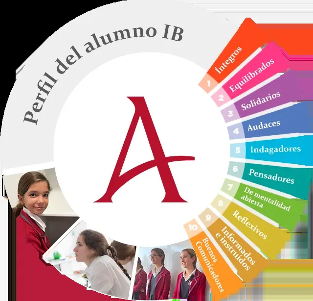 Alegra School — photo 4