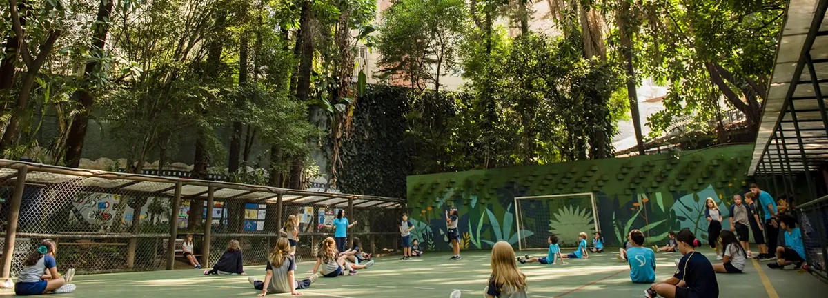 Stance Dual School — photo 1