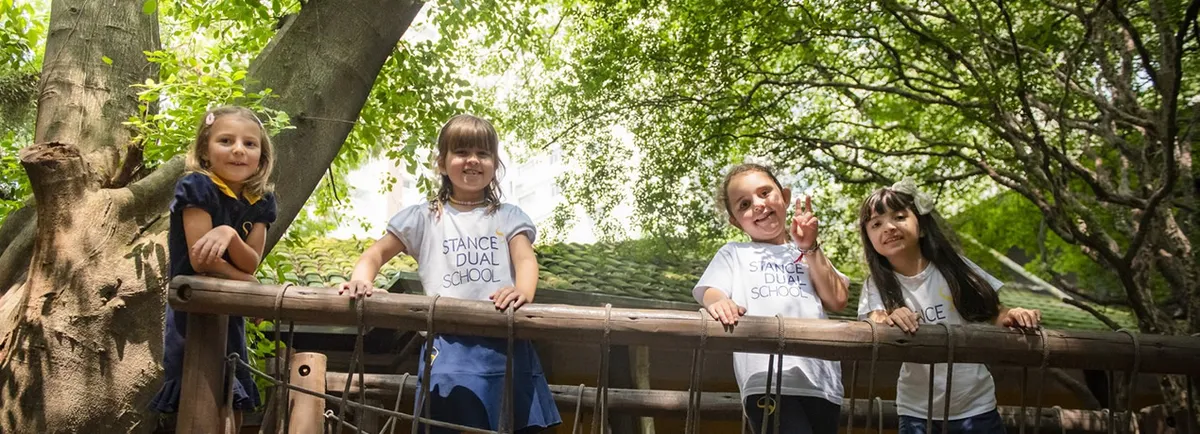 Stance Dual School — photo 3