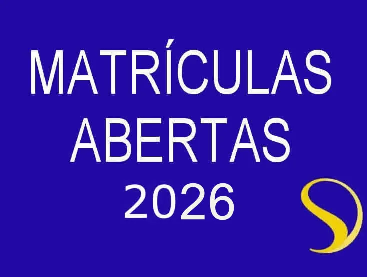 Stance Dual School — photo 5