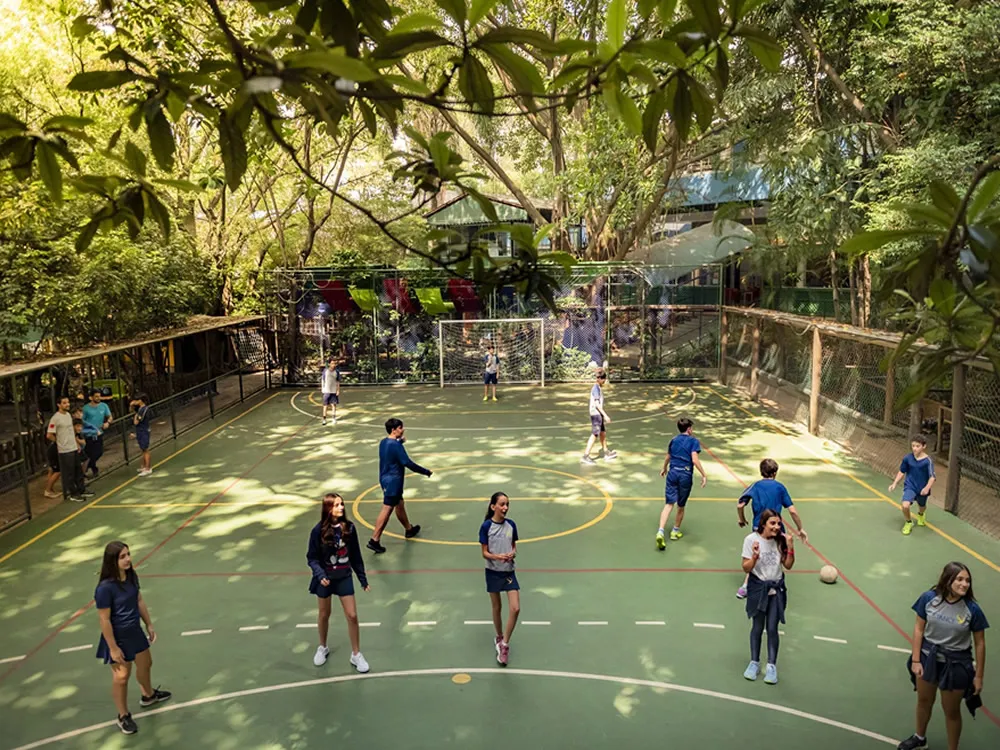 Stance Dual School — photo 6