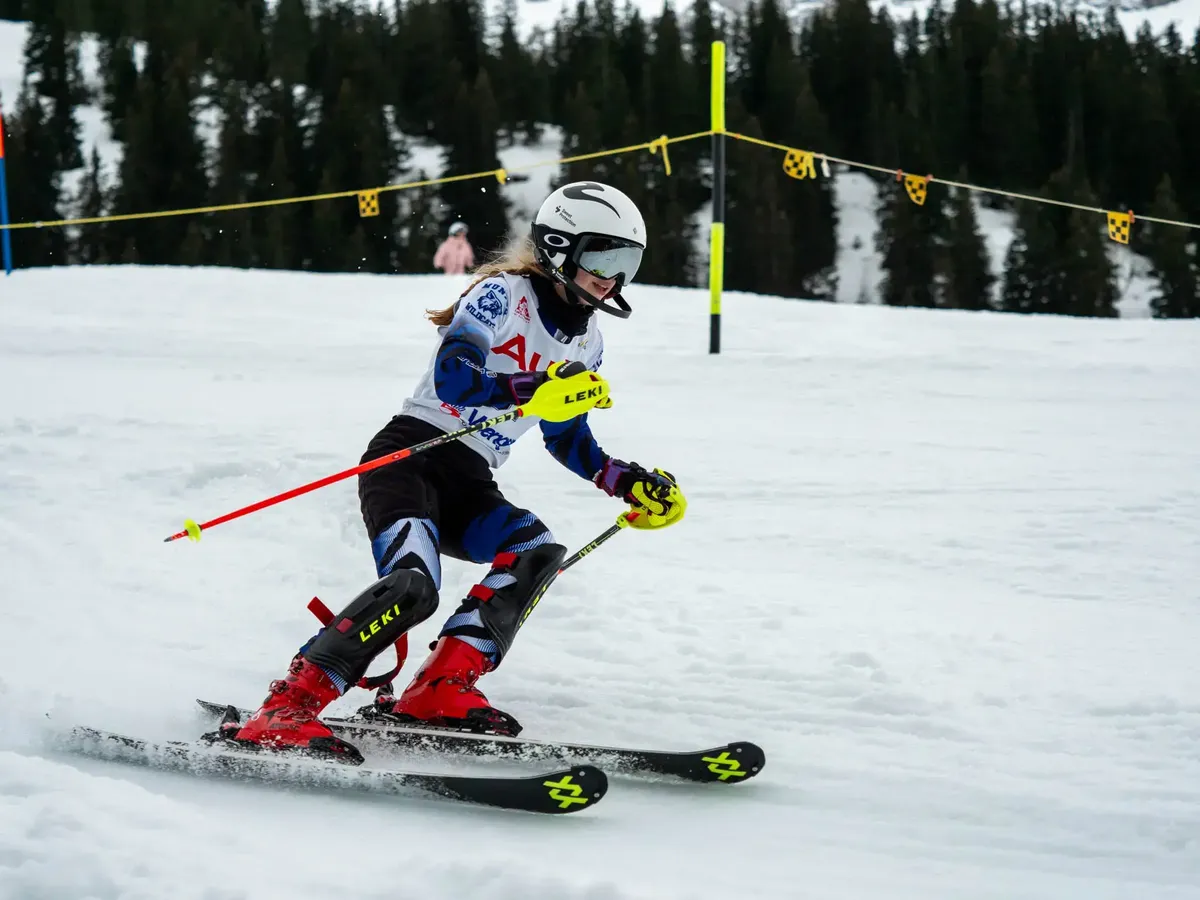 Munich International School e.V. — photo 6