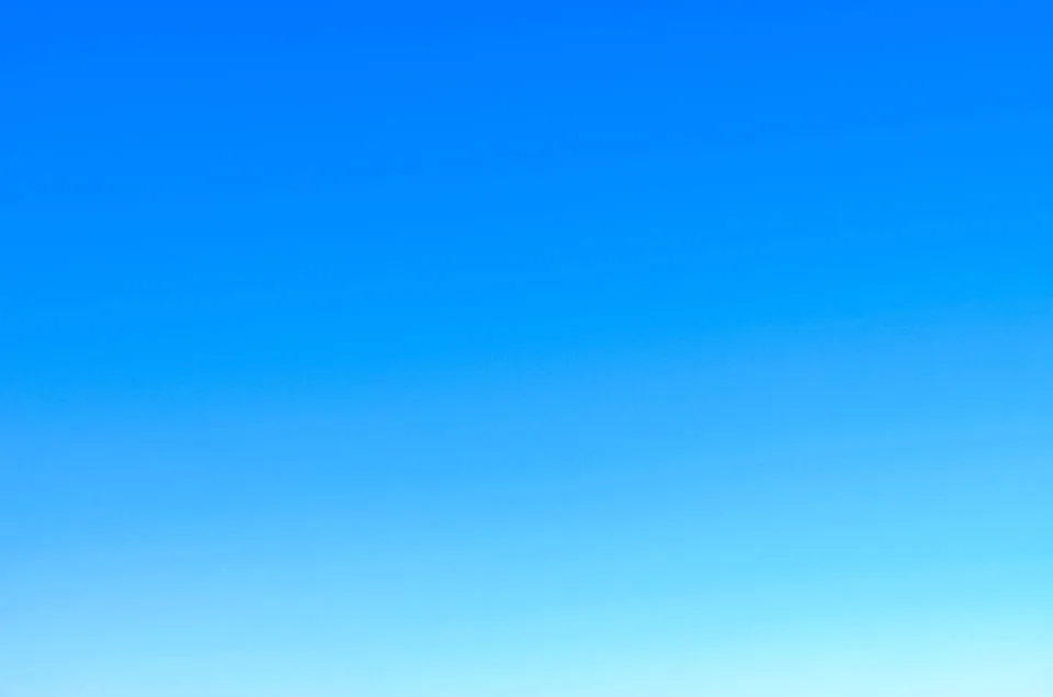 The British International School of Brussels — photo 5