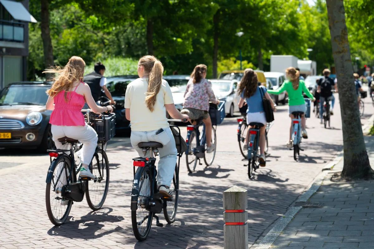 International School Het Rijnlands Lyceum Oegstgeest — photo 5