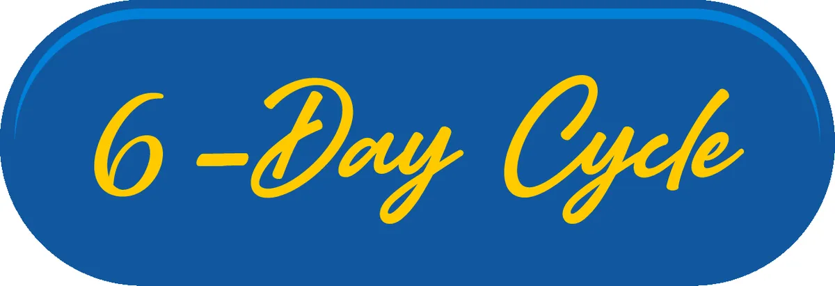 Chiang Kai Shek College — photo 4