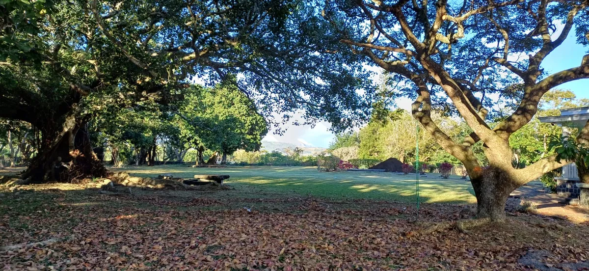 Themis International School — photo 1