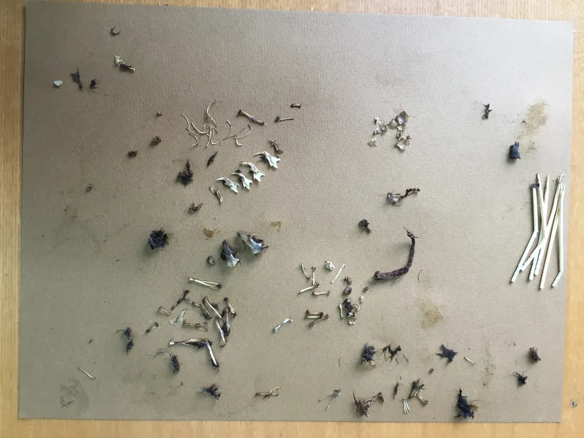 Wuhan French International School — photo 1