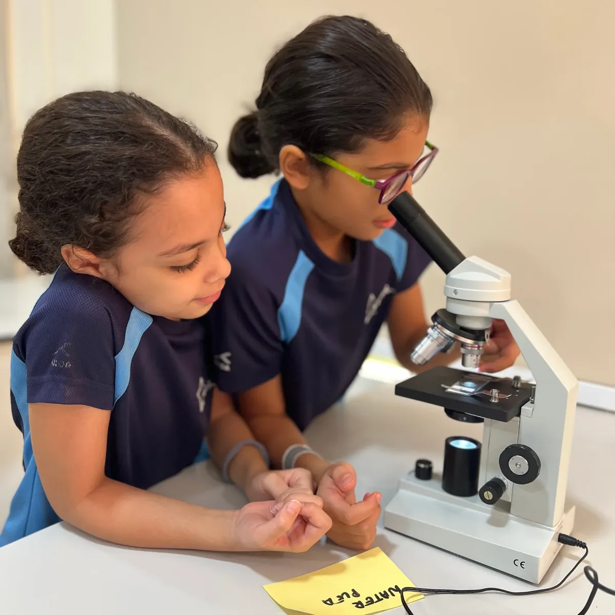 Star International School Al Twar — photo 3