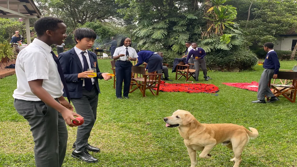 Cavina School — photo 1