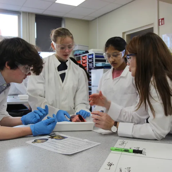 International School Haarlem — photo 8