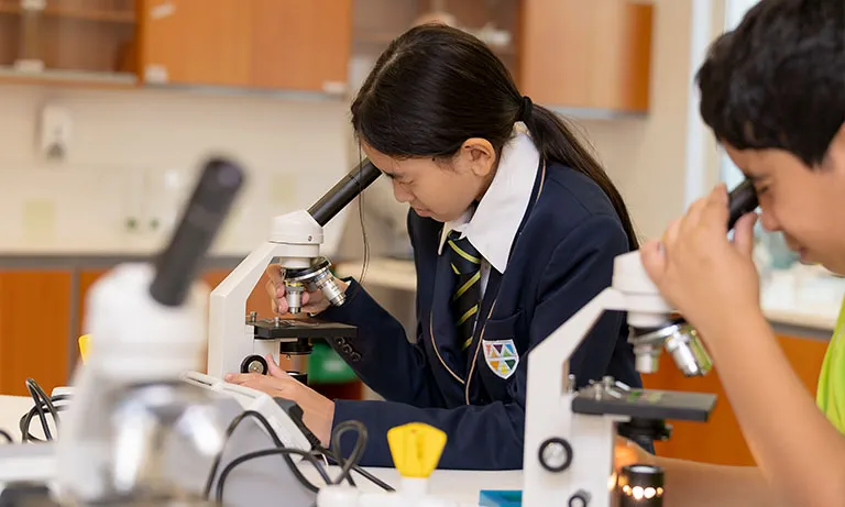 Mamoura British Academy — photo 2