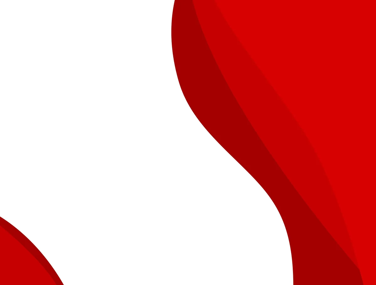 Canadian International School of Egypt — photo 1