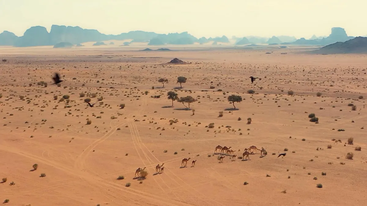 NEOM Community School