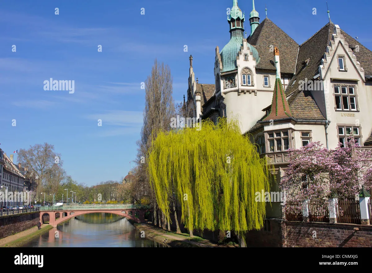 International School Strasbourg