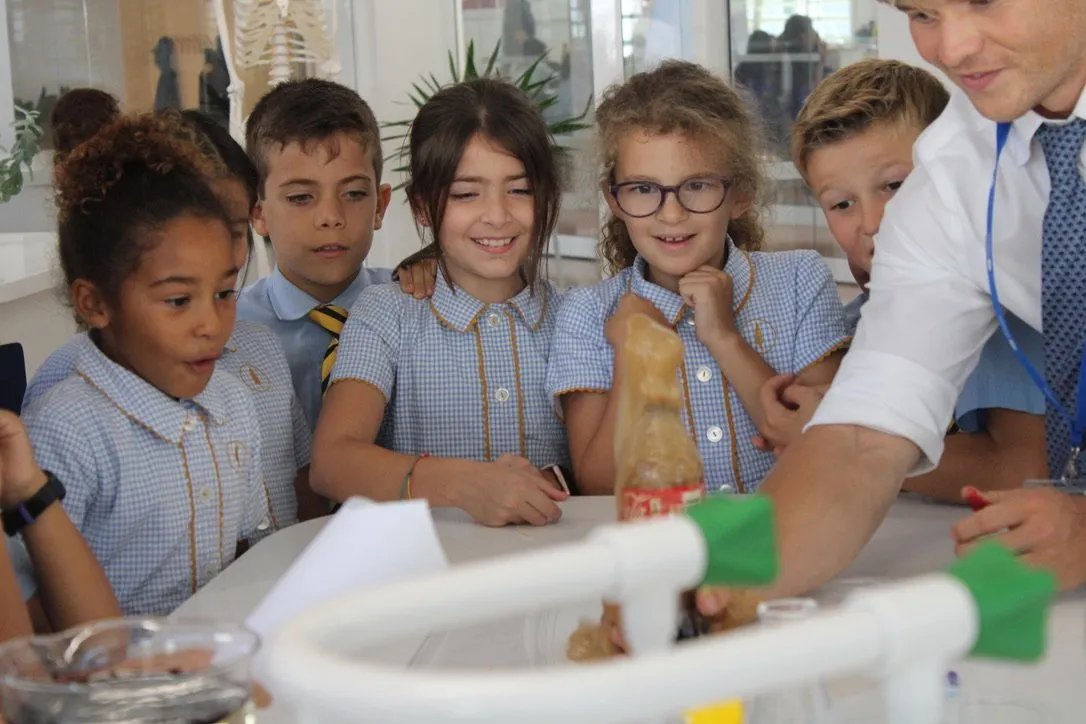 British School of Lisbon, Portugal — photo 7