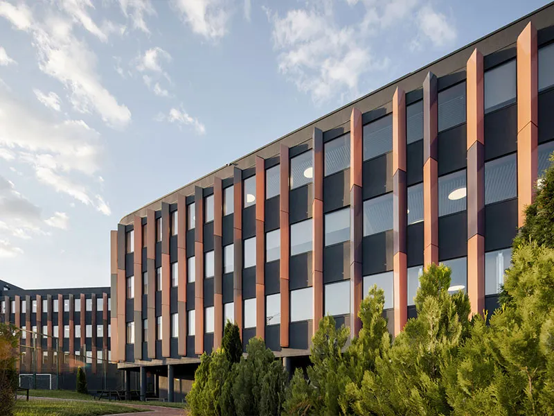 British Georgian Academy