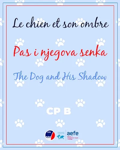 École Française de Belgrade — photo 4