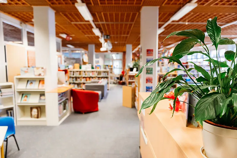 Vienna International School — photo 3